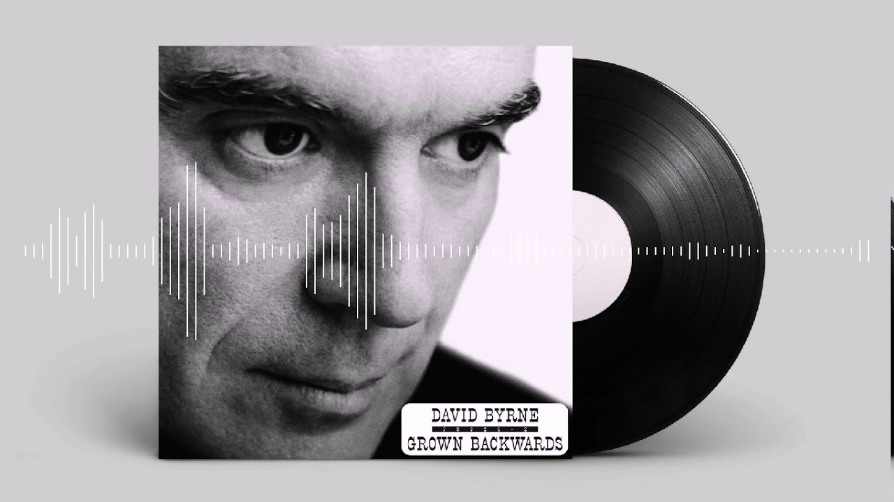 Glass, Concrete & Stone David Byrne Testo della canzone