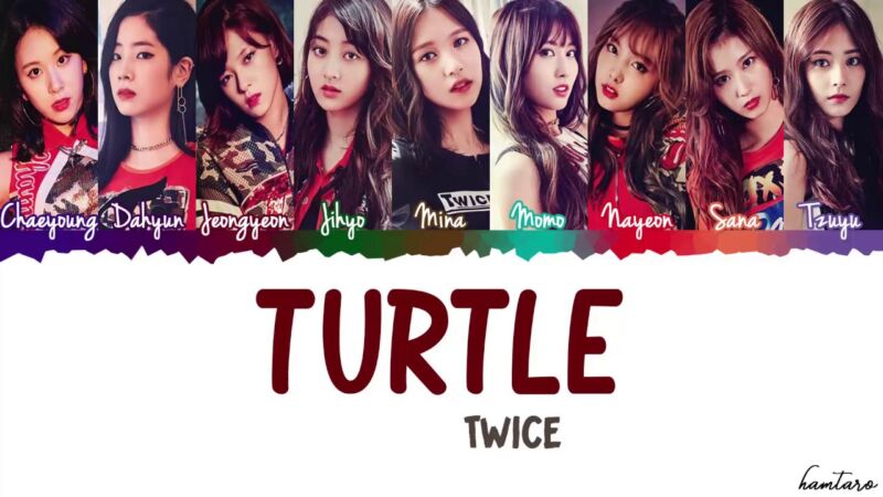 Turtle 거북이 Geobugi Twice Testo Della Canzone