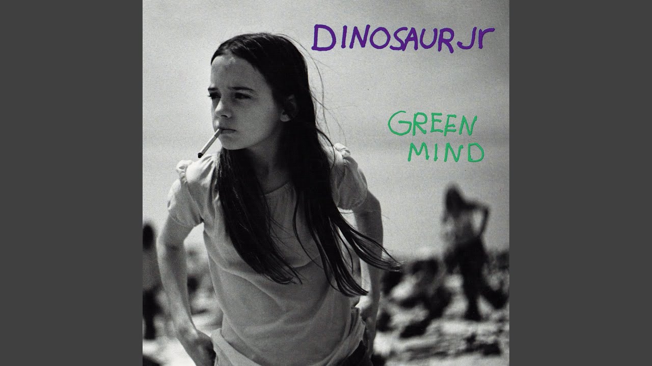 Water Dinosaur Jr. Testo della canzone