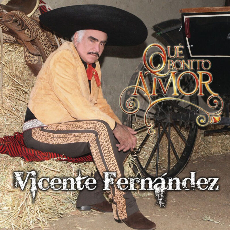 Que Bonito Amor Vicente Fernandez Testo della canzone